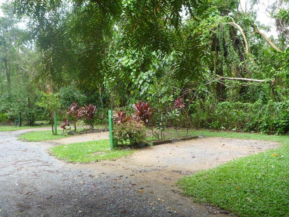 Pk'S Jungle Village Cape Tribulation Exterior photo